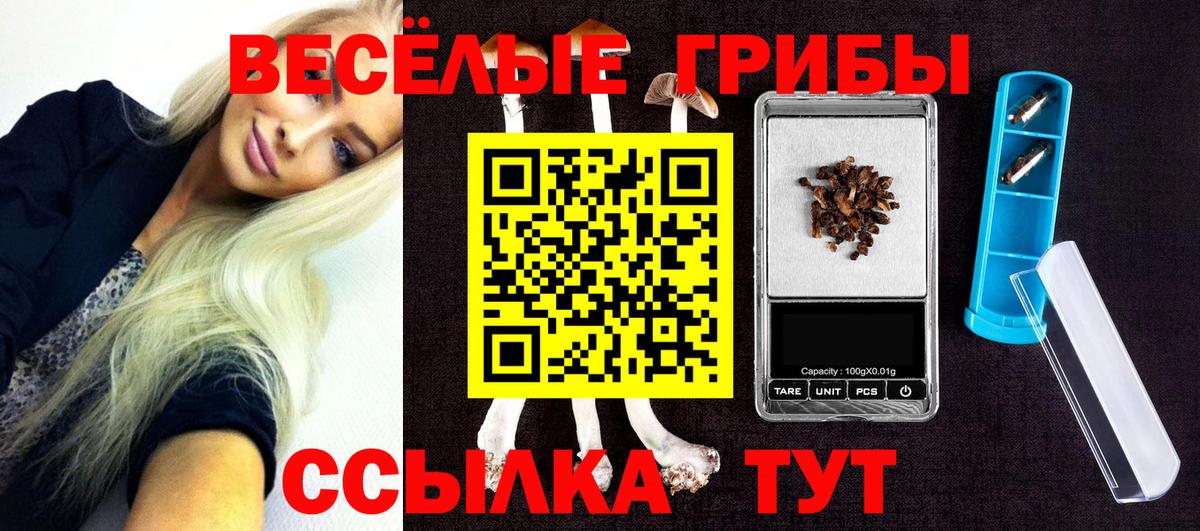 Псилоцибиновые грибы Psilocybe  Вход с VPN  Старая Купавна 